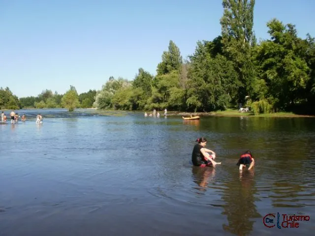 Entrada principal del Camping Los Radales con vehículos y árboles