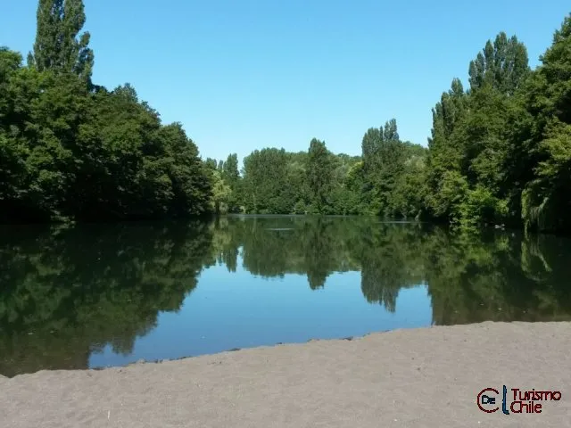 Pradera del camping con neumáticos decorativos y vegetación